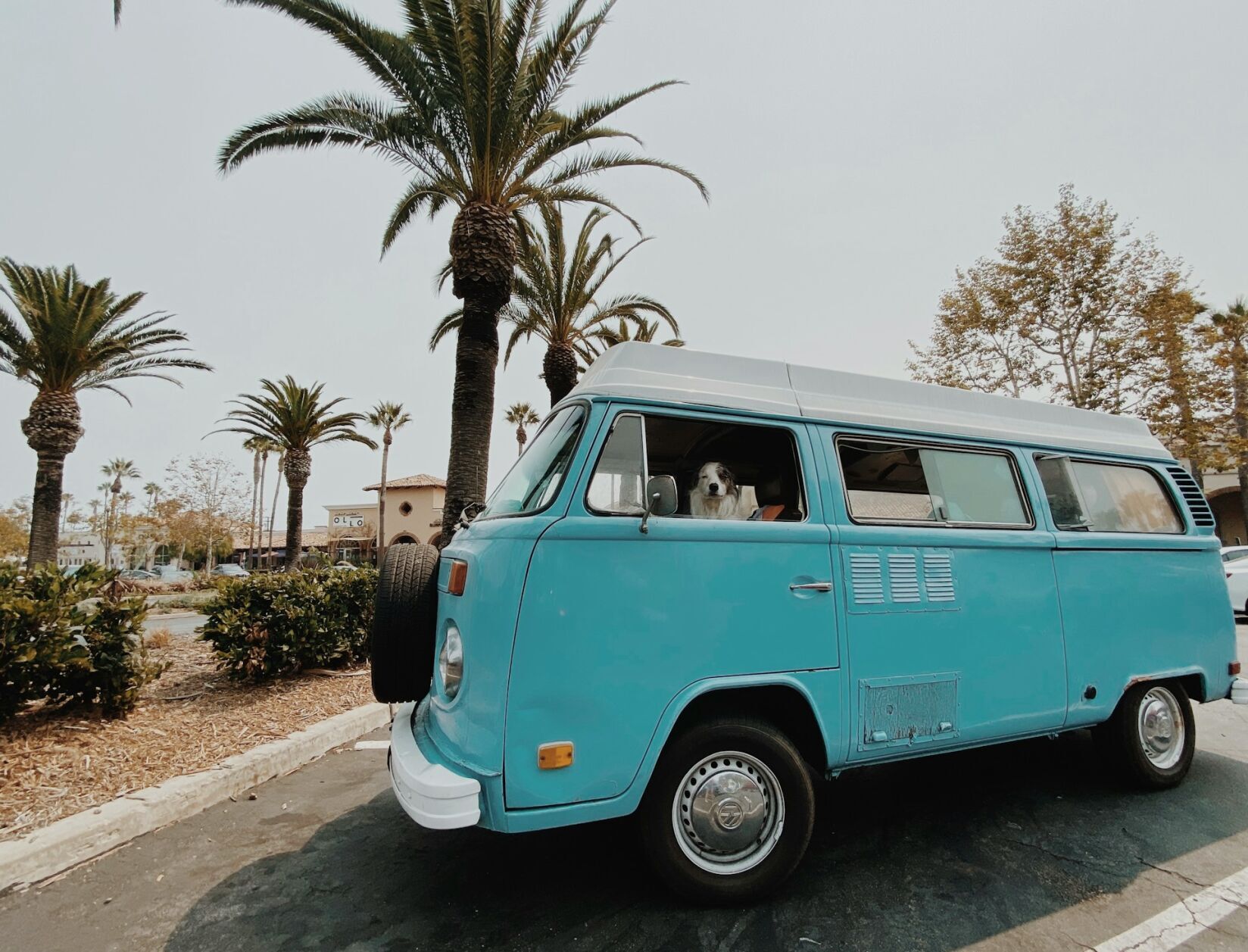 chelsea-audibert-Wh4E-S-Hjx4-unsplash